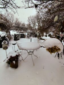 Winterimpressionen Garten Nuber's Café